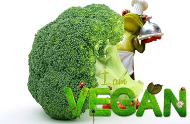 Vegan : pour ou contre ?