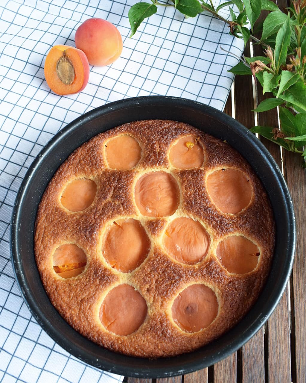 RECETTE DE GÂTEAU SANS GLUTEN AUX ABRICOTS