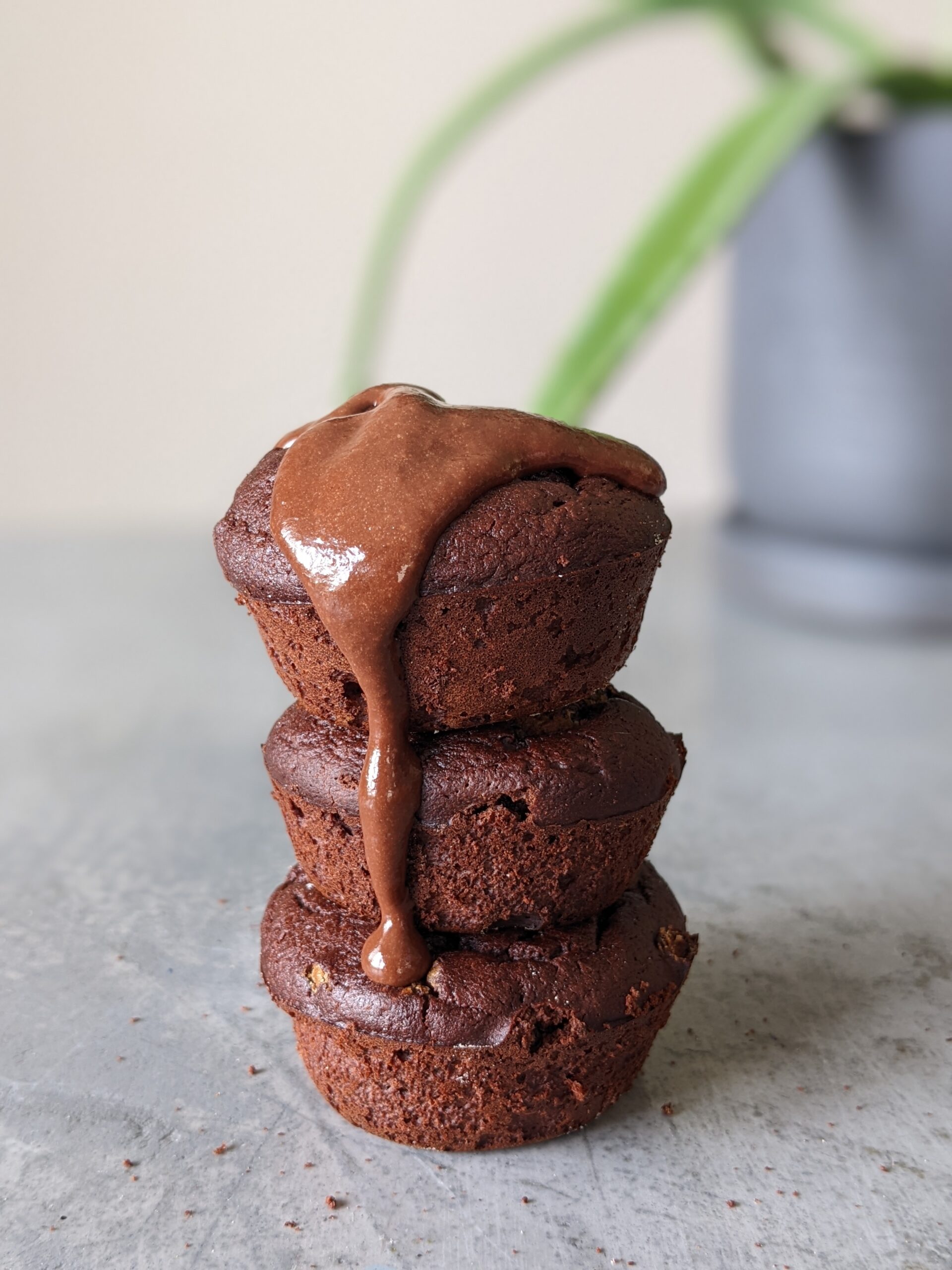 Le Journal D’une Diet Jessica MOREL Diététicienne Et Nutritionniste